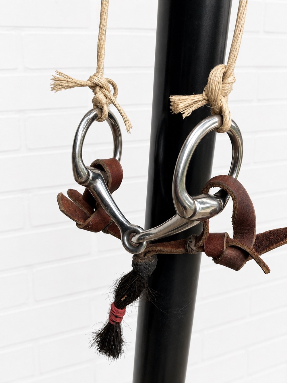 Pony D Ring Bit